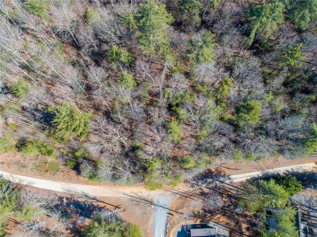 other for sale at 0 Bartox Drive, Ellijay, GA 30540 — photo 10