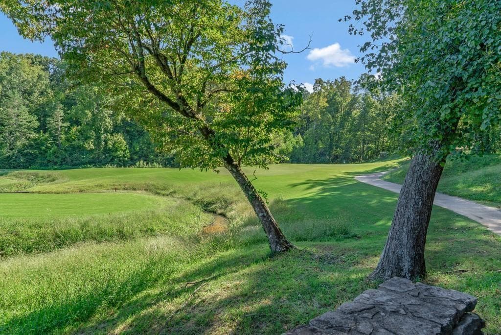 single family residence for sale at 0 Imperial Court Lot 813, Clarkesville, GA 30523 — photo 2