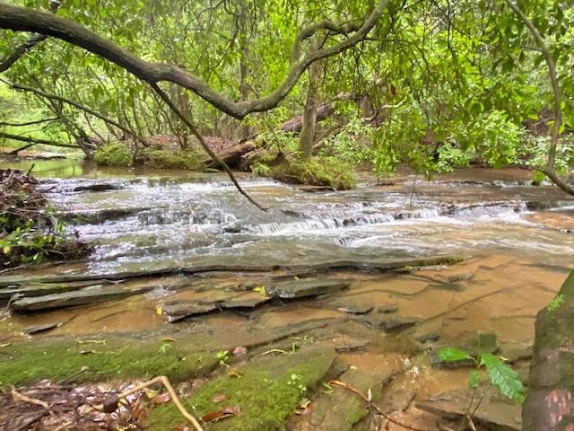 unimproved land for sale at 2243 Damascus Road, Ball Ground, GA 30107 — photo 2