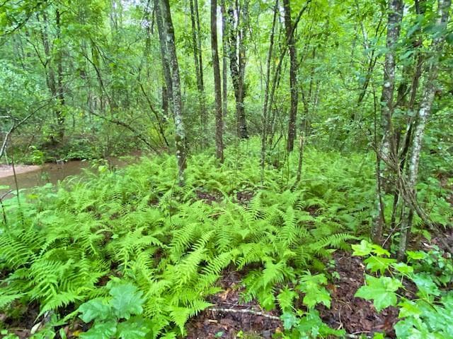 unimproved land for sale at 2243 Damascus Road, Ball Ground, GA 30107 — photo 3