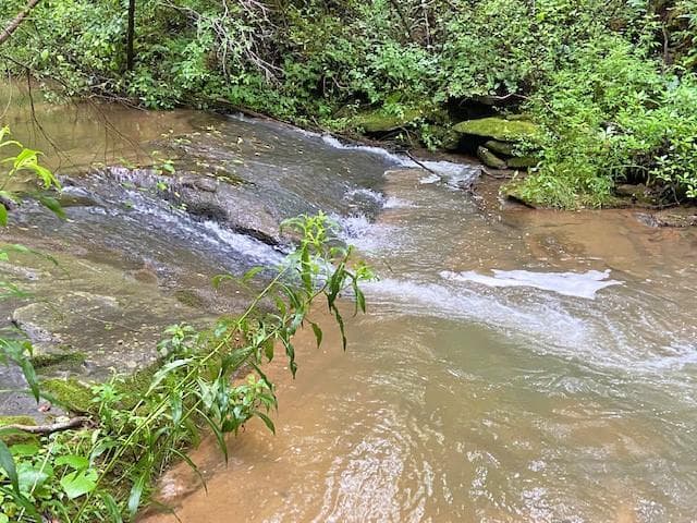 unimproved land for sale at 2243 Damascus Road, Ball Ground, GA 30107 — photo 4