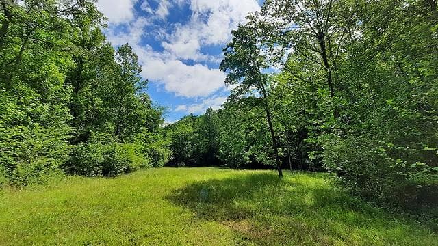 unimproved land for sale at 2243 Damascus Road, Ball Ground, GA 30107 — photo 6