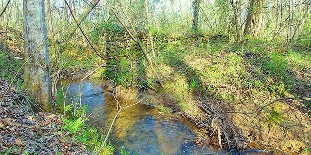 unimproved land for sale at 2243 Damascus Road, Ball Ground, GA 30107 — photo 9