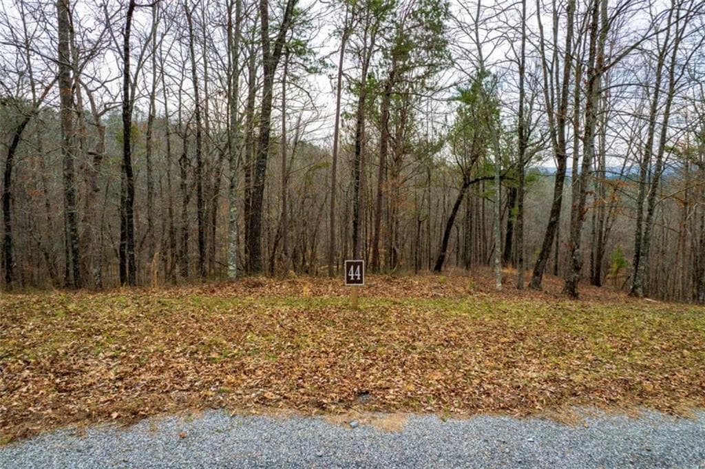 single family residence for sale at LOT 44 Bucktail Way, Talking Rock, GA 30175 — photo 4