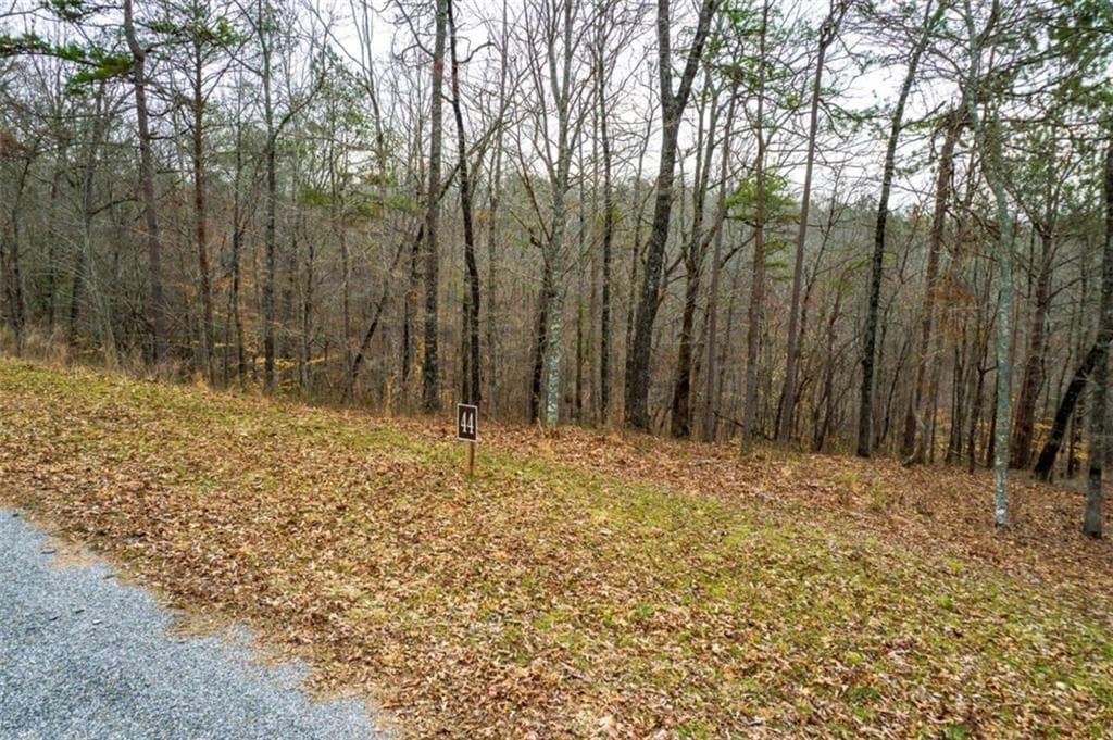 single family residence for sale at LOT 44 Bucktail Way, Talking Rock, GA 30175 — photo 6