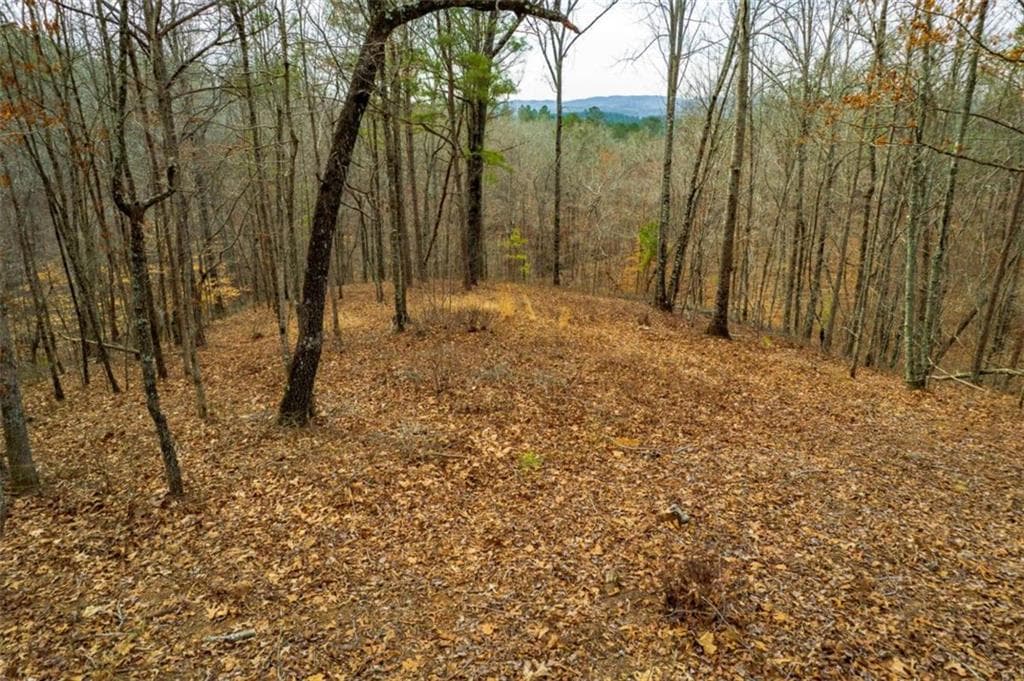 single family residence for sale at LOT 44 Bucktail Way, Talking Rock, GA 30175 — photo 7