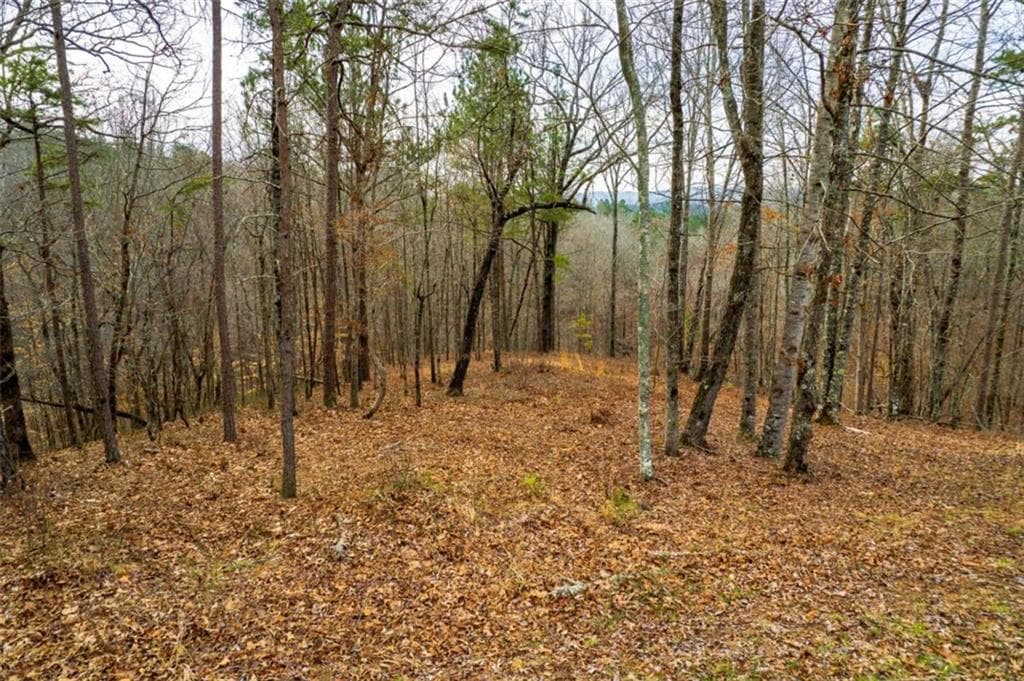 single family residence for sale at LOT 44 Bucktail Way, Talking Rock, GA 30175 — photo 8