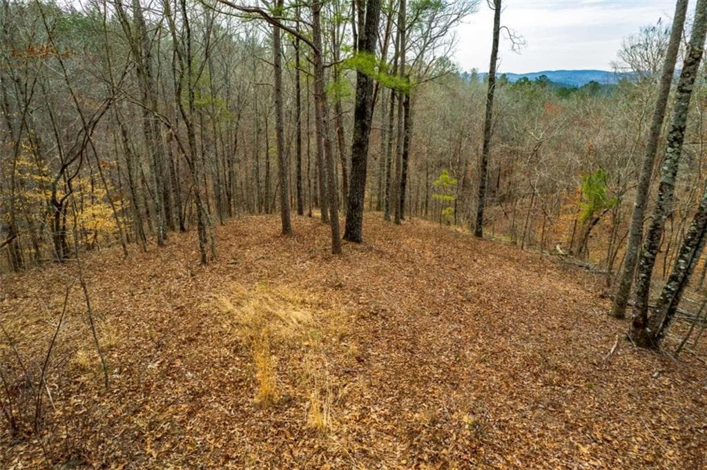 single family residence for sale at LOT 44 Bucktail Way, Talking Rock, GA 30175 — photo 9