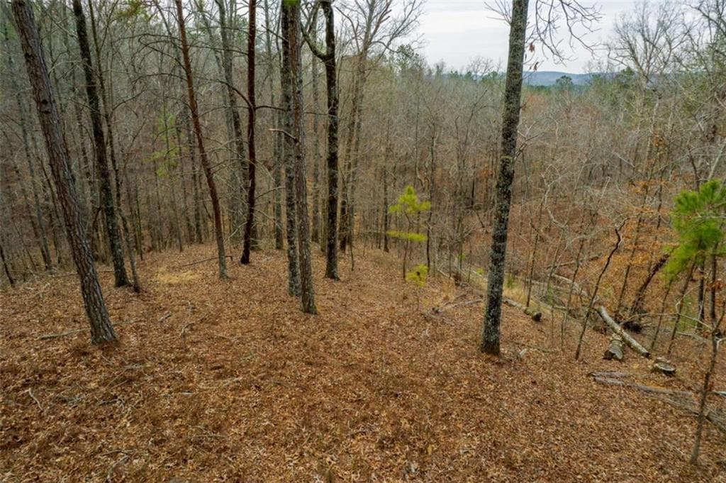 single family residence for sale at LOT 44 Bucktail Way, Talking Rock, GA 30175 — photo 10