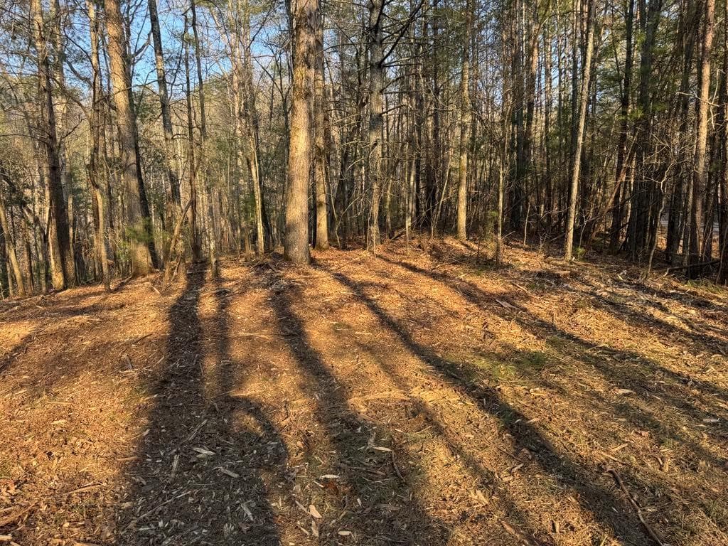 1767 Longbranch Drive, Ranger, GA 30734 — most recent listing photo