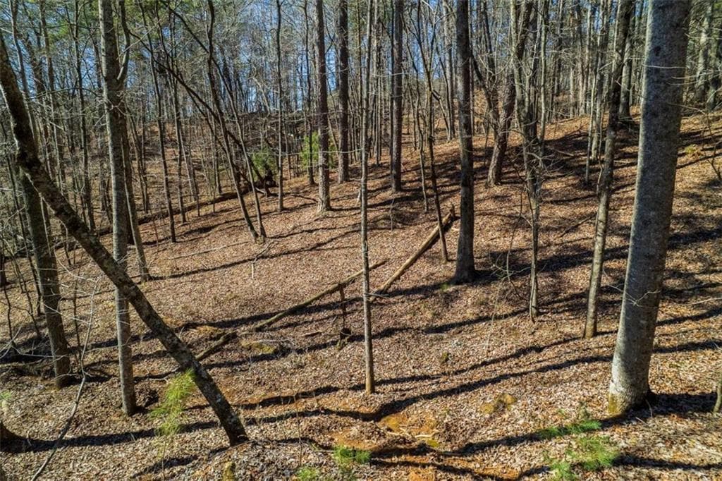 single family residence sold at LOT 68 Julep Circle, Ellijay, GA 30540