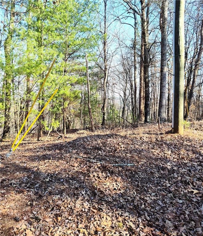 1698 Shade Tree Lane, Talking Rock, GA 30175 — most recent listing photo