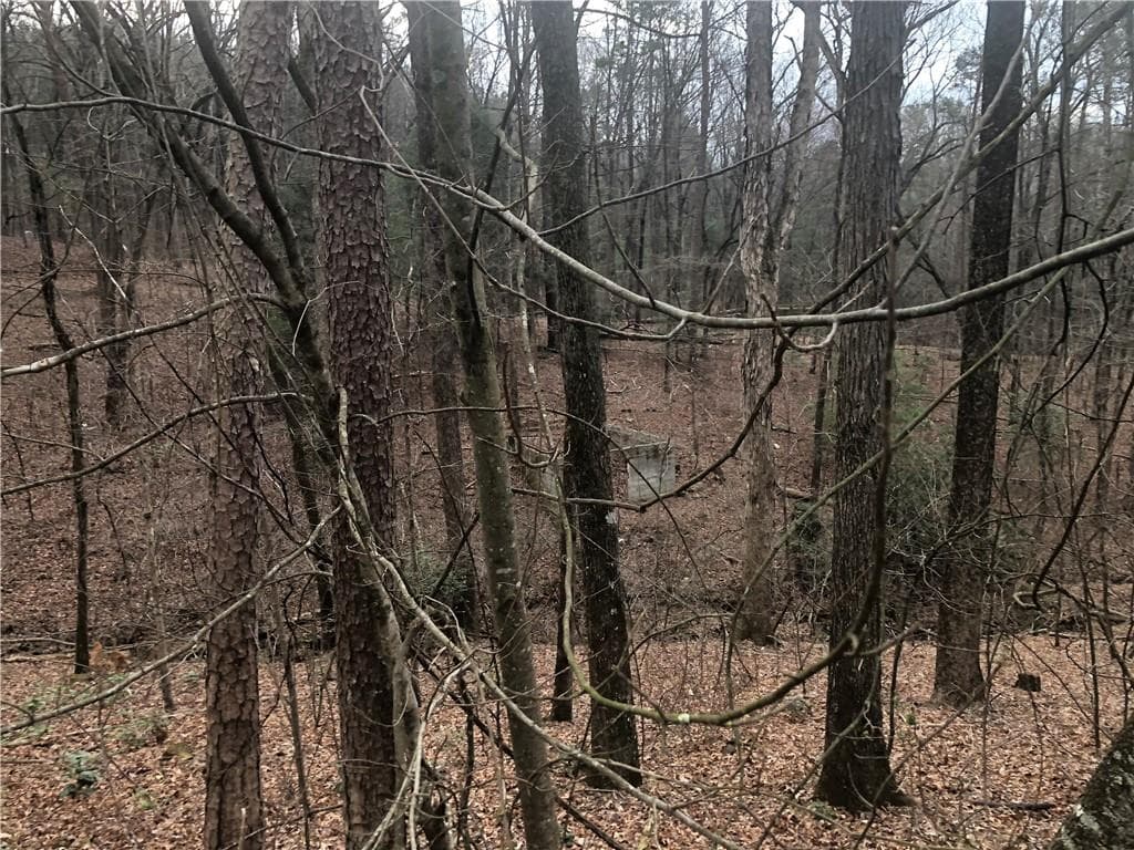 2057 Blackberry Mountain Road, Ellijay, GA 30536 — most recent listing photo