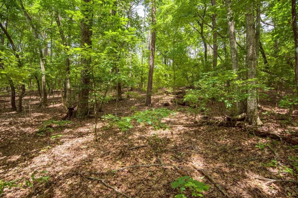 single family residence sold at 285 Bear Creek Drive, Big Canoe, GA 30143