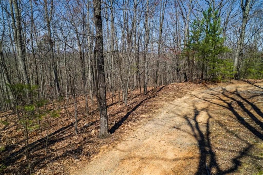 single family residence for sale at Lot 35 Heatherwood Way, Talking Rock, GA 30175 — photo 2