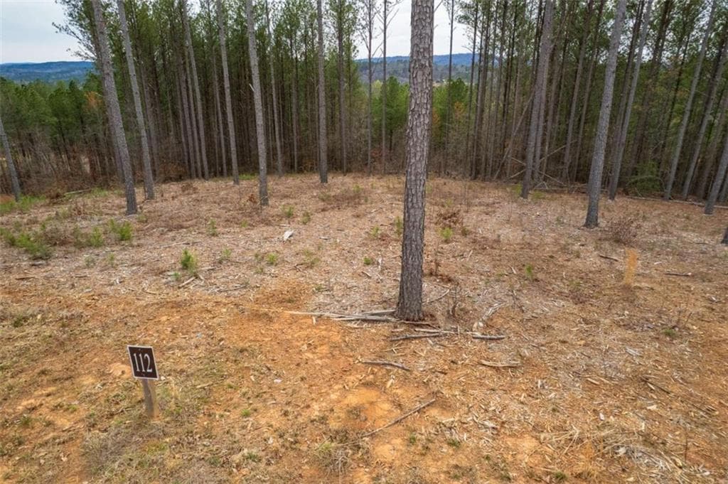 single family residence for sale at LT 112 Blalock Mountain Road, Talking Rock, GA 30175 — photo 5