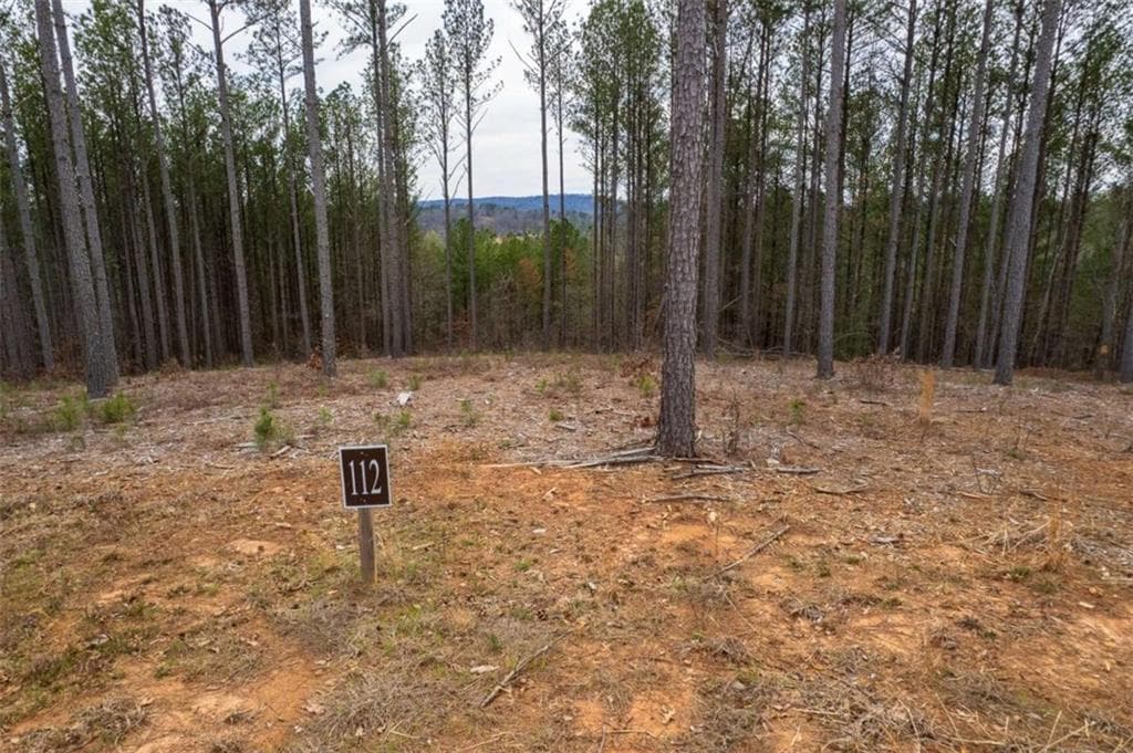 single family residence for sale at LT 112 Blalock Mountain Road, Talking Rock, GA 30175 — photo 6