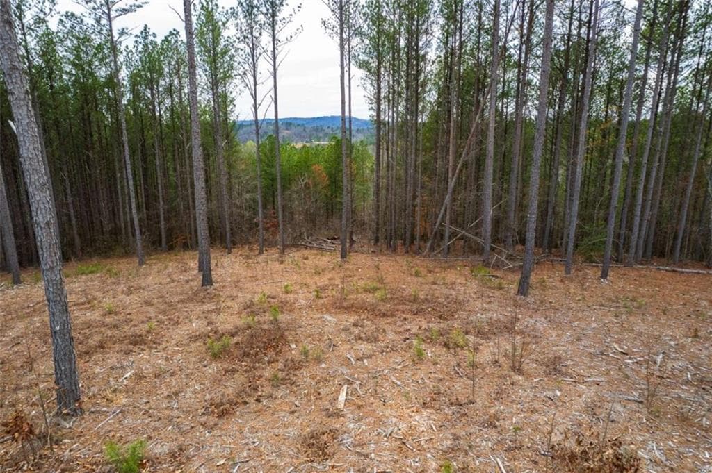single family residence for sale at LT 112 Blalock Mountain Road, Talking Rock, GA 30175 — photo 7