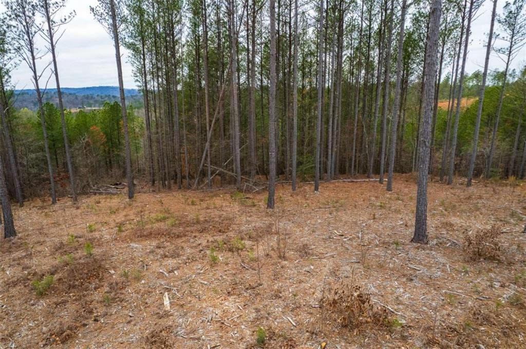 single family residence for sale at LT 112 Blalock Mountain Road, Talking Rock, GA 30175 — photo 8