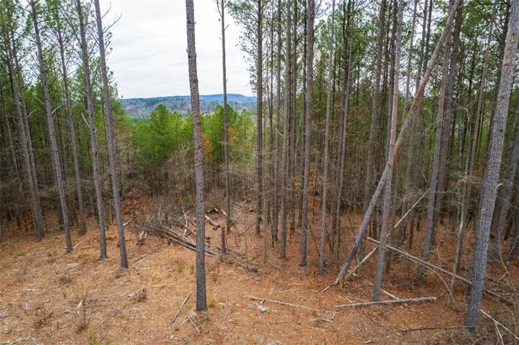 single family residence for sale at LT 112 Blalock Mountain Road, Talking Rock, GA 30175 — photo 9