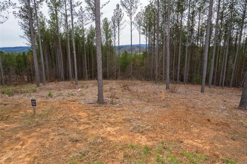 single family residence for sale at LT 112 Blalock Mountain Road, Talking Rock, GA 30175 — photo 10
