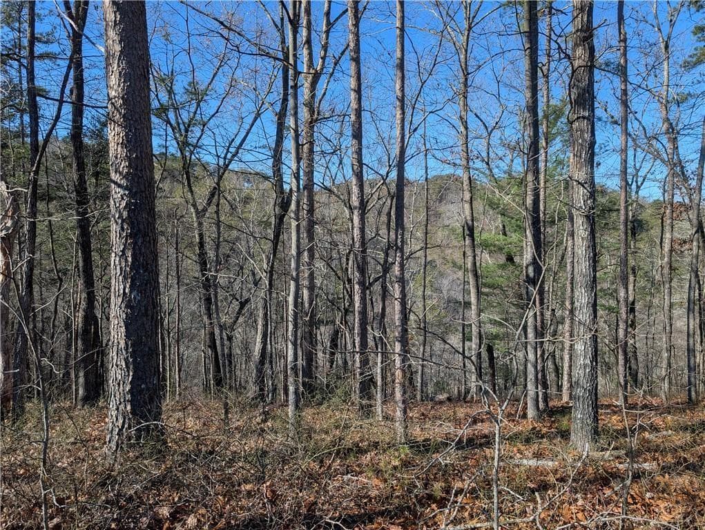 unimproved land for sale at 1400 Foxhound Trail, Ranger, GA 30734 — photo 1 of 19