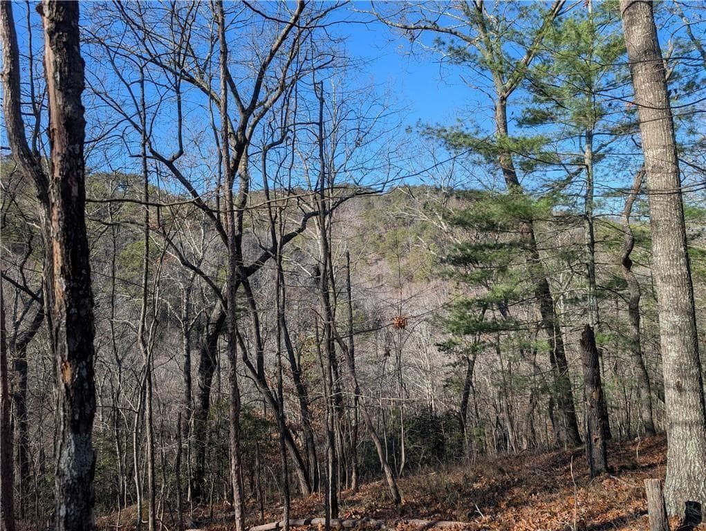 unimproved land for sale at 1400 Foxhound Trail, Ranger, GA 30734 — photo 2