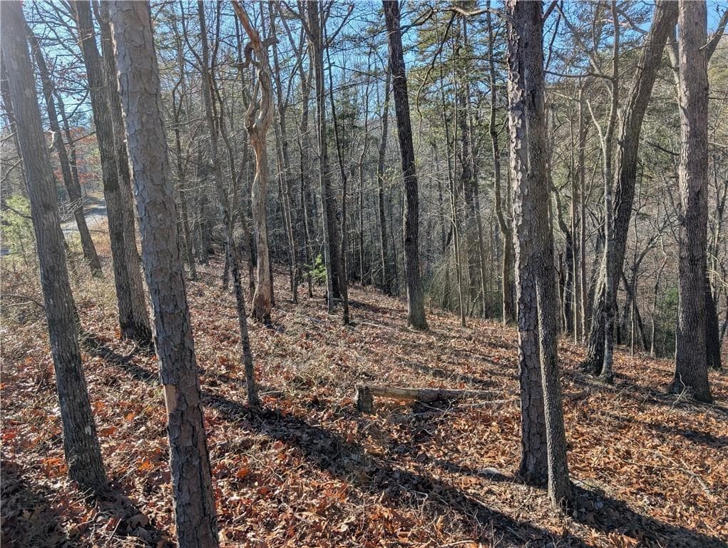 unimproved land for sale at 1400 Foxhound Trail, Ranger, GA 30734 — photo 3