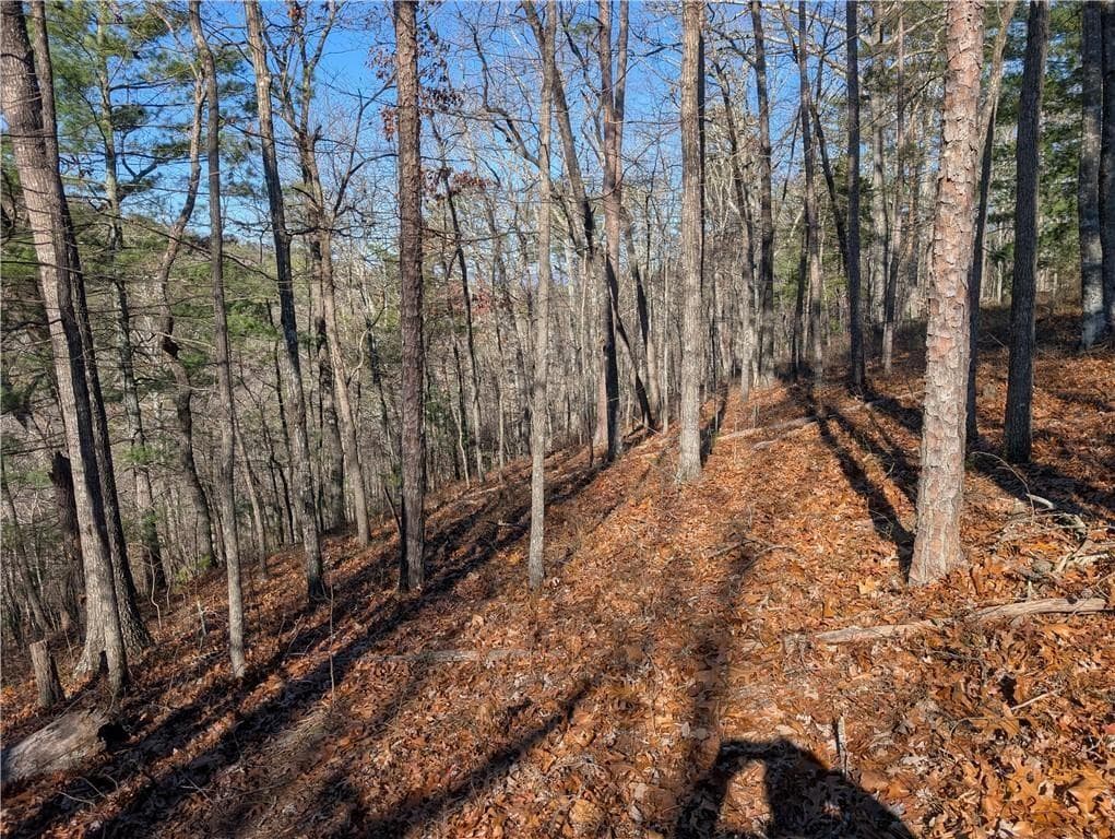 unimproved land for sale at 1400 Foxhound Trail, Ranger, GA 30734 — photo 4