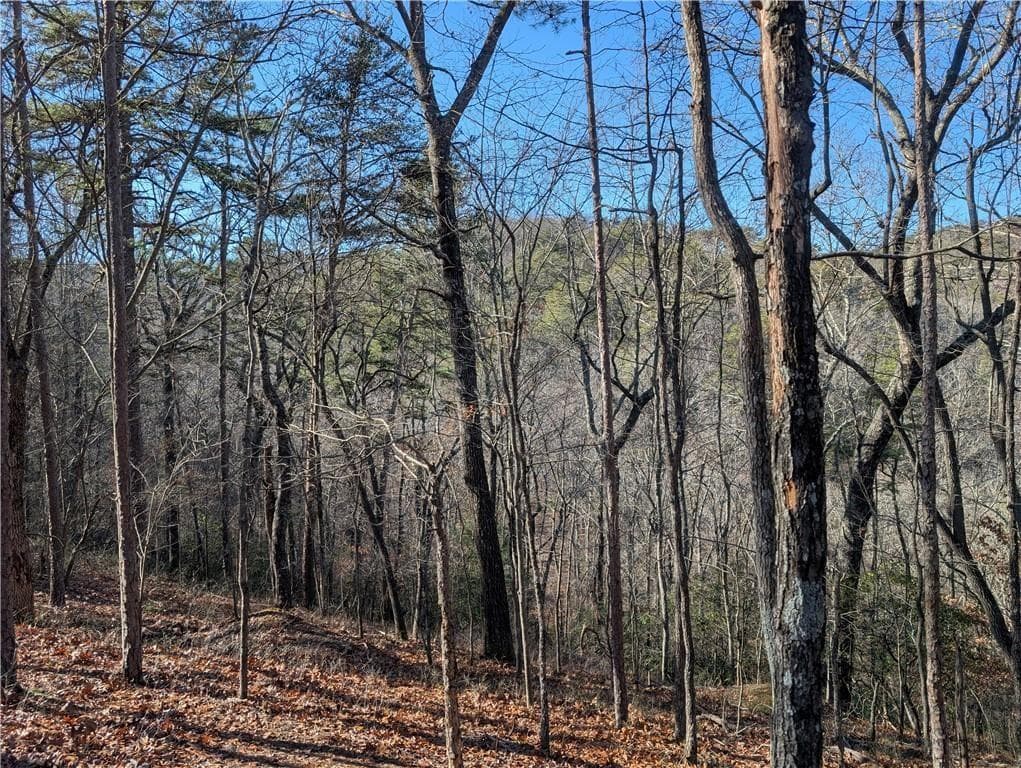 unimproved land for sale at 1400 Foxhound Trail, Ranger, GA 30734 — photo 5