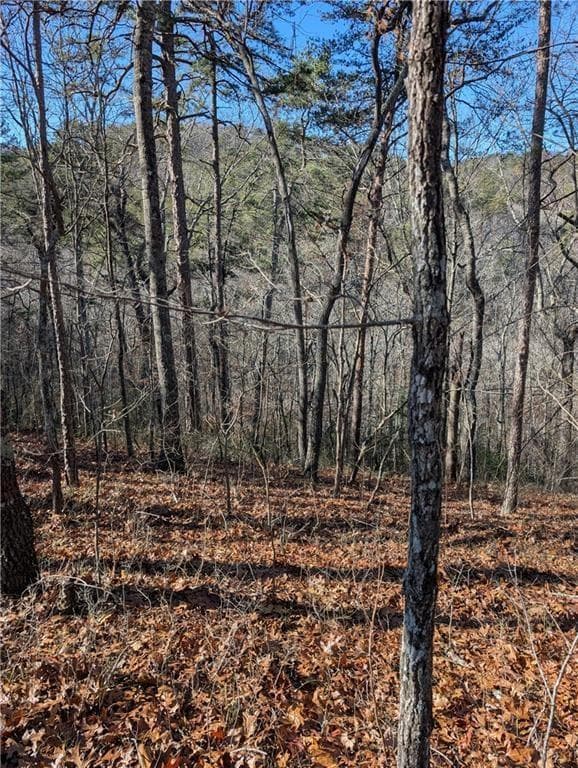 unimproved land for sale at 1400 Foxhound Trail, Ranger, GA 30734 — photo 6