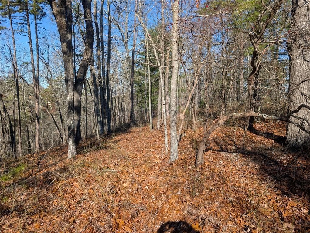 unimproved land for sale at 1400 Foxhound Trail, Ranger, GA 30734 — photo 7
