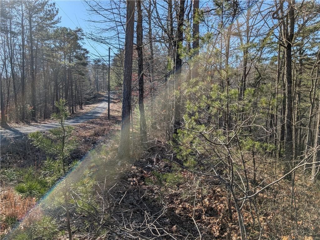 unimproved land for sale at 1400 Foxhound Trail, Ranger, GA 30734 — photo 8