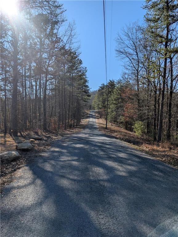 unimproved land for sale at 1400 Foxhound Trail, Ranger, GA 30734 — photo 10