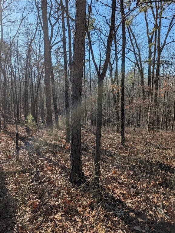 unimproved land for sale at 1422 Hanna Drive, Ranger, GA 30734 — photo 1 of 16