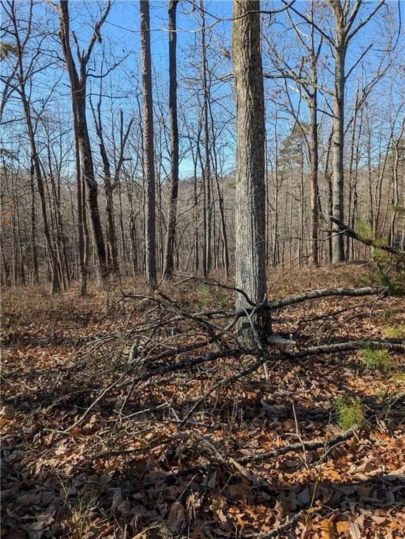 unimproved land for sale at 1422 Hanna Drive, Ranger, GA 30734 — photo 2