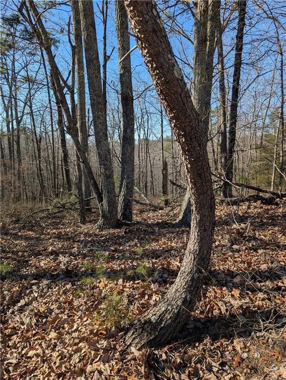 unimproved land for sale at 1422 Hanna Drive, Ranger, GA 30734 — photo 3