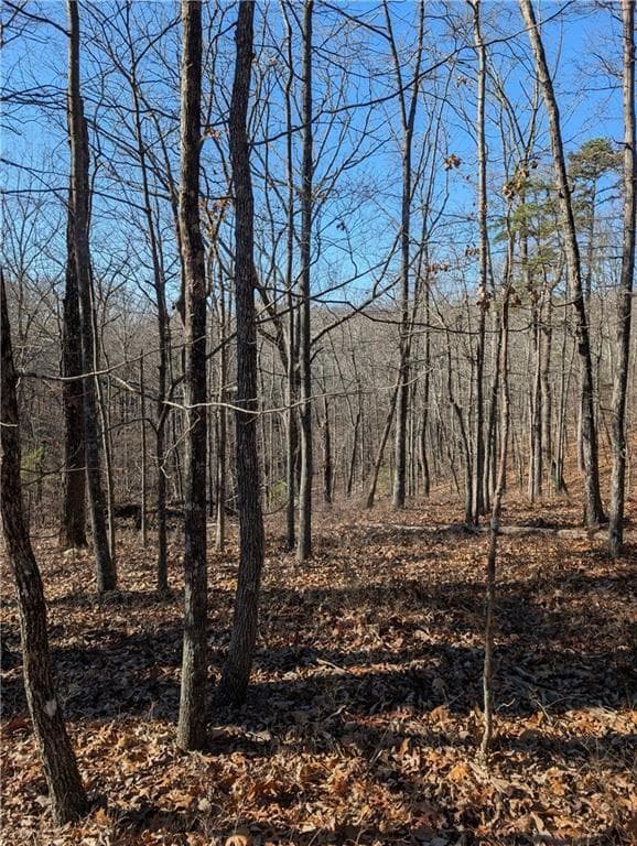 unimproved land for sale at 1422 Hanna Drive, Ranger, GA 30734 — photo 4