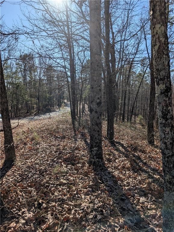 unimproved land for sale at 1422 Hanna Drive, Ranger, GA 30734 — photo 5