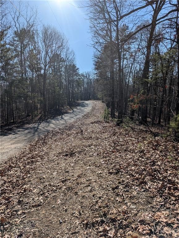 unimproved land for sale at 1422 Hanna Drive, Ranger, GA 30734 — photo 6