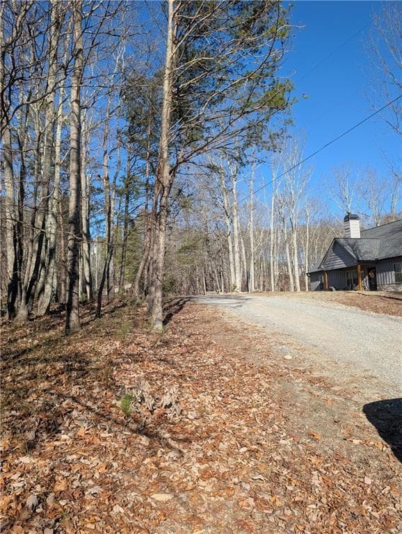unimproved land for sale at 1422 Hanna Drive, Ranger, GA 30734 — photo 7