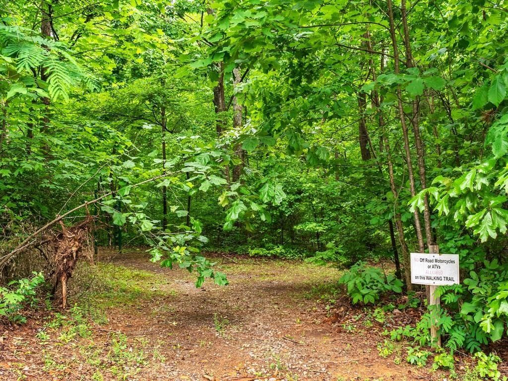 unimproved land for sale at 1422 Hanna Drive, Ranger, GA 30734 — photo 9