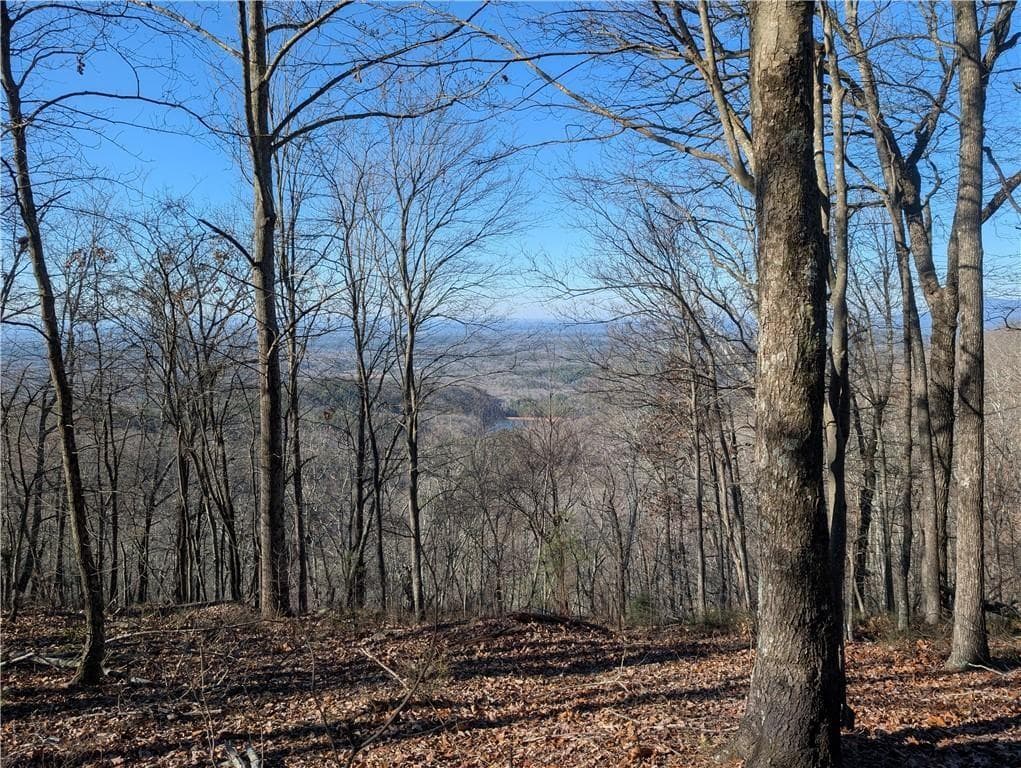 unimproved land for sale at 234 Stirratt Road, Ranger, GA 30734 — photo 1 of 18