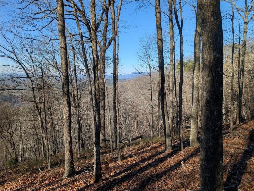 unimproved land for sale at 234 Stirratt Road, Ranger, GA 30734 — photo 2