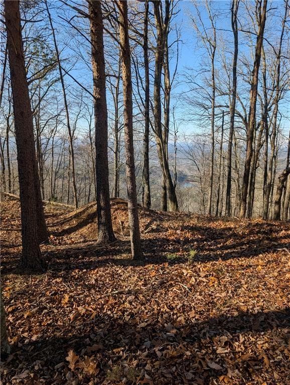 unimproved land for sale at 234 Stirratt Road, Ranger, GA 30734 — photo 3