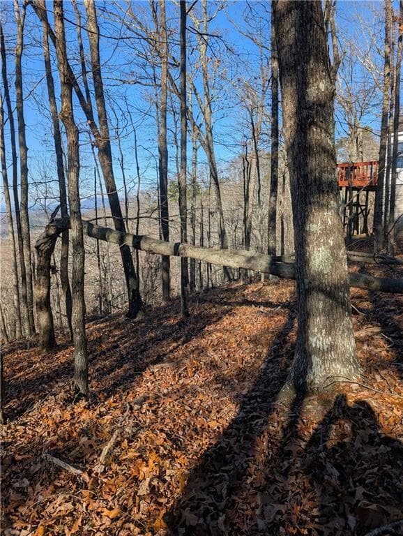 unimproved land for sale at 234 Stirratt Road, Ranger, GA 30734 — photo 4