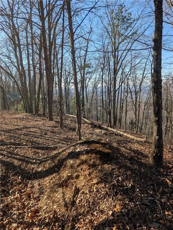 unimproved land for sale at 234 Stirratt Road, Ranger, GA 30734 — photo 5