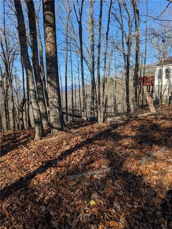 unimproved land for sale at 234 Stirratt Road, Ranger, GA 30734 — photo 6