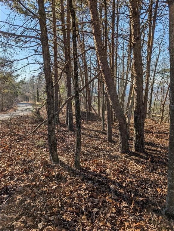unimproved land for sale at 234 Stirratt Road, Ranger, GA 30734 — photo 7