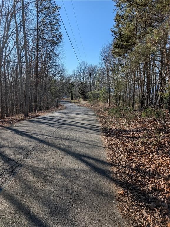 unimproved land for sale at 234 Stirratt Road, Ranger, GA 30734 — photo 8